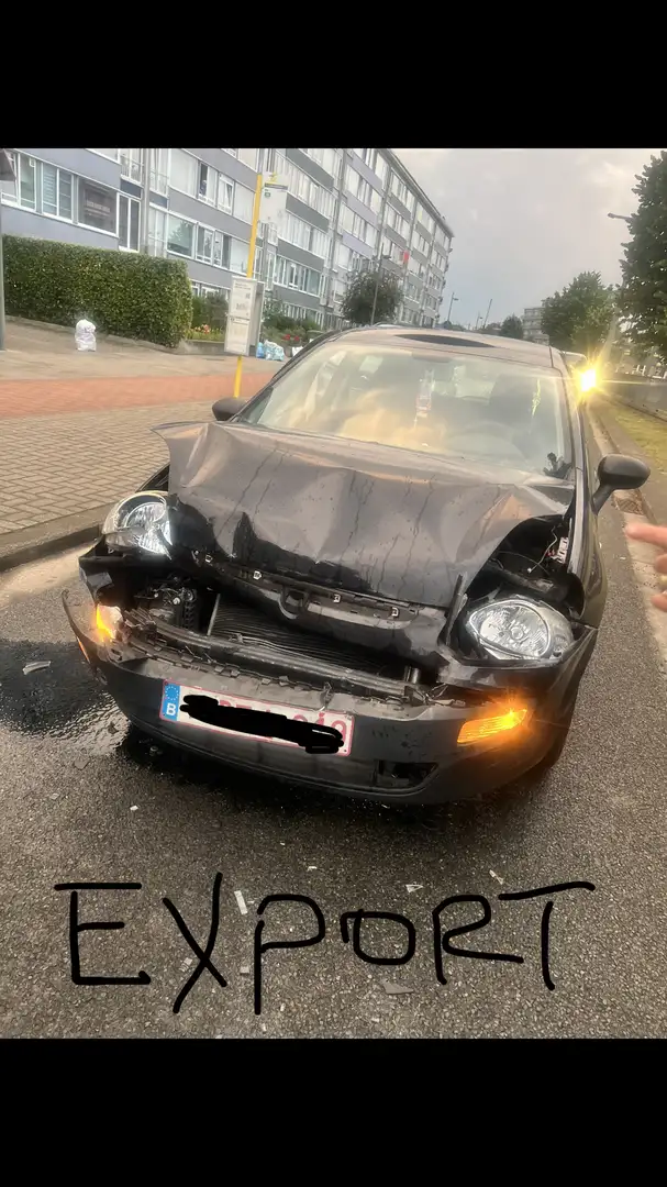 Fiat Punto Evo 1.3 16V Multijet Active - 1
