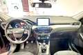 Ford Kuga Kuga 1.5 ecoblue Titanium Business 2wd 120cv Blu/Azzurro - thumbnail 9