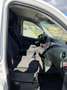 Mercedes-Benz Vito Weiß - thumbnail 10