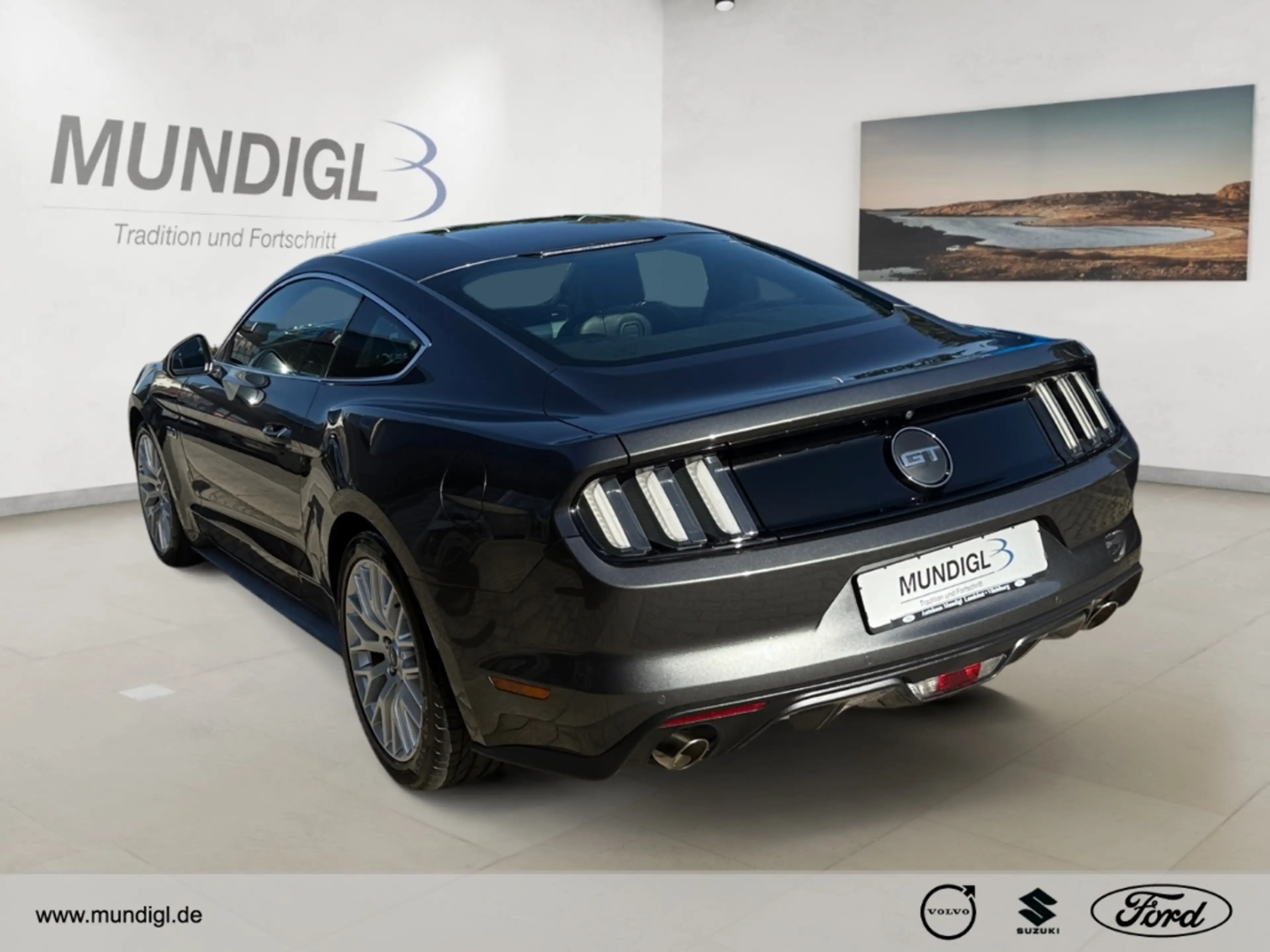 Ford Mustang GT Fastback Navi Leder Xenon Sitz-Klima RFK PDC Kl — photo 4