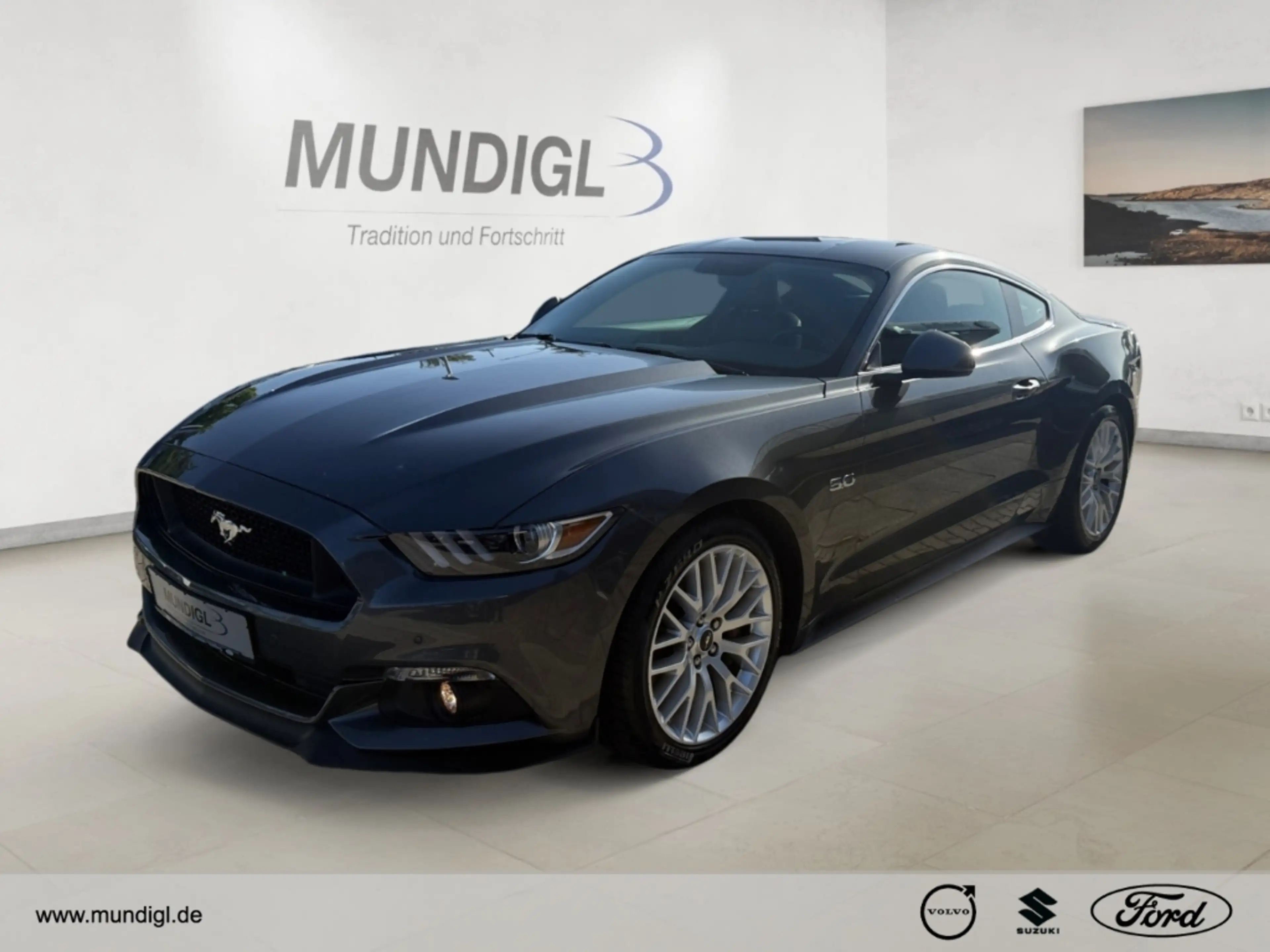 Ford Mustang GT Fastback Navi Leder Xenon Sitz-Klima RFK PDC Kl