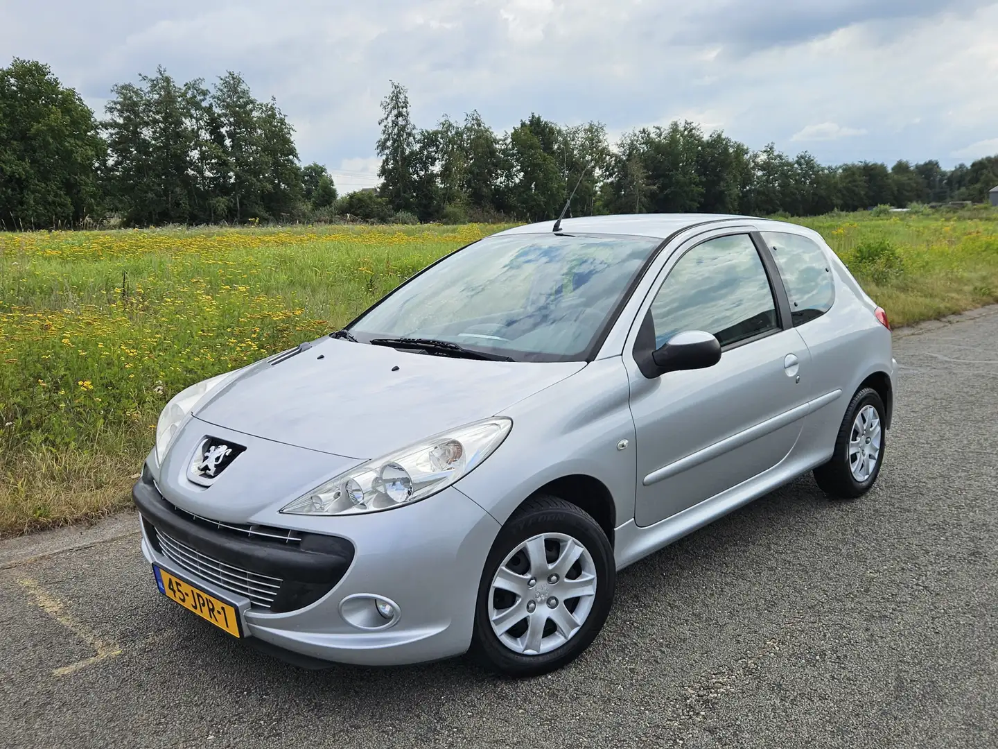 Peugeot 206 + 1.4 XS Gris - 1