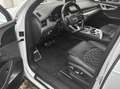 Audi SQ7 4.0 TDI B&O ADVANCE HUD PANO RAUTE 7-SITZER Blanc - thumbnail 21