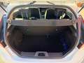 Ford Fiesta 1.5 TDCi 75CV 3 porte Business Bianco - thumbnail 13
