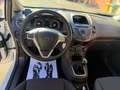 Ford Fiesta 1.5 TDCi 75CV 3 porte Business Bianco - thumbnail 10