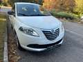 Lancia Ypsilon 1.2 8v Gold s&s 69cv E6 UNICOPROPRIETARIO Blanc - thumbnail 4