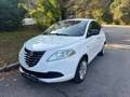 Lancia Ypsilon 1.2 8v Gold s&s 69cv E6 UNICOPROPRIETARIO Blanc - thumbnail 1