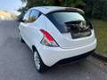 Lancia Ypsilon 1.2 8v Gold s&s 69cv E6 UNICOPROPRIETARIO Blanc - thumbnail 7
