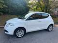 Lancia Ypsilon 1.2 8v Gold s&s 69cv E6 UNICOPROPRIETARIO Blanc - thumbnail 6