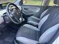 Lancia Ypsilon 1.2 8v Gold s&s 69cv E6 UNICOPROPRIETARIO Blanc - thumbnail 10