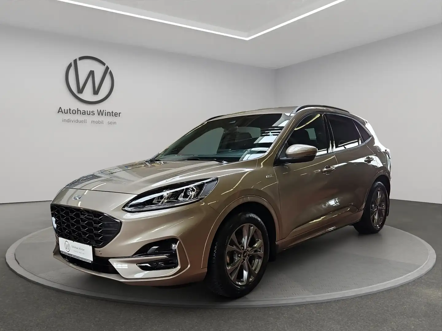 Ford Kuga 1,5 EcoBoost ST-Line X LED B&O AHZV 4x SHZ Navi Silber - 2