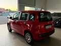 Fiat Panda Panda 1.2 Easy easypower Gpl 69cv my19 Rouge - thumbnail 7