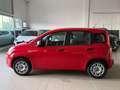Fiat Panda Panda 1.2 Easy easypower Gpl 69cv my19 Rouge - thumbnail 8