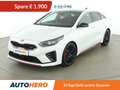 Kia ProCeed / pro_cee'd 1.6 TGDI GT Aut. *LED*ACC*SPUR*TOT*JBL*PANO* Weiß - thumbnail 1