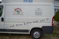 Peugeot Boxer Boxer Luxusbus 3000 L1H1 2,2 HDi Weiß - thumbnail 13