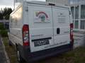 Peugeot Boxer Boxer Luxusbus 3000 L1H1 2,2 HDi Weiß - thumbnail 14