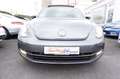 Volkswagen Beetle 2.0 TSI Sport*Fender*Xenon*Pano*19Zoll*++ Gris - thumbnail 13