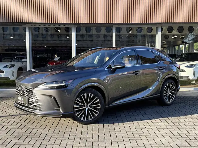 Lexus RX 450h AWD Executive Line | Panoramadak, Head up display,
