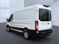 Ford Transit 350 L2H2 Trend AHK Kamera Tempomat DAB+ PD Blanc - thumbnail 4