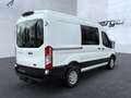 Ford Transit 350 L2H2 Trend AHK Kamera Tempomat DAB+ PD Blanc - thumbnail 3