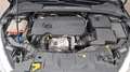 Ford Focus 1.5 ECOBLUE 120.0 Titanium Gris - thumbnail 15