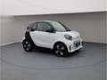 smart forTwo EQ  Exkl 22kw Pano LED Kamera 1528km Weiß - thumbnail 8
