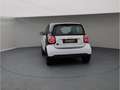 smart forTwo EQ  Exkl 22kw Pano LED Kamera 1528km Weiß - thumbnail 5