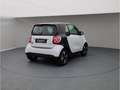 smart forTwo EQ  Exkl 22kw Pano LED Kamera 1528km Weiß - thumbnail 6