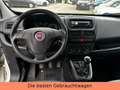 Fiat Doblo Doblò SX Kombi-EURO5-5 SITZPLÄTZE-KEIN TÜV Weiß - thumbnail 12