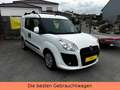 Fiat Doblo Doblò SX Kombi-EURO5-5 SITZPLÄTZE-KEIN TÜV Weiß - thumbnail 3