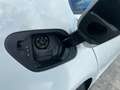 Volkswagen e-Golf Wärmepumpe, CCS, RFK Weiß - thumbnail 5