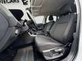 Volkswagen Polo 1.0 TSI R-LINE AB WERK / ABSTANDSTEMP / SITZHEIZU Weiß - thumbnail 15