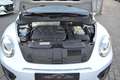 Volkswagen Beetle Beetle Cabriolet 2.0 CR TDi Dune DSG Blanco - thumbnail 16