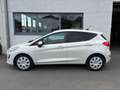 Ford Fiesta Fiesta 1.0 EcoBoost LED APCP CRUISE LANE Beige - thumbnail 1