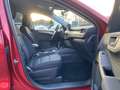 Ford Kuga Trend Winterpaket PDC Rood - thumbnail 13