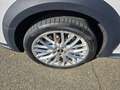 Audi A4 allroad 2.0 TDI 190 CV S tronic UNICO PROPRIETARIO PERMUTE Blanc - thumbnail 6
