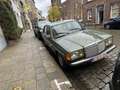 Mercedes-Benz 230 De koning van de weg: Mercedes-Benz W123 230E Vert - thumbnail 2