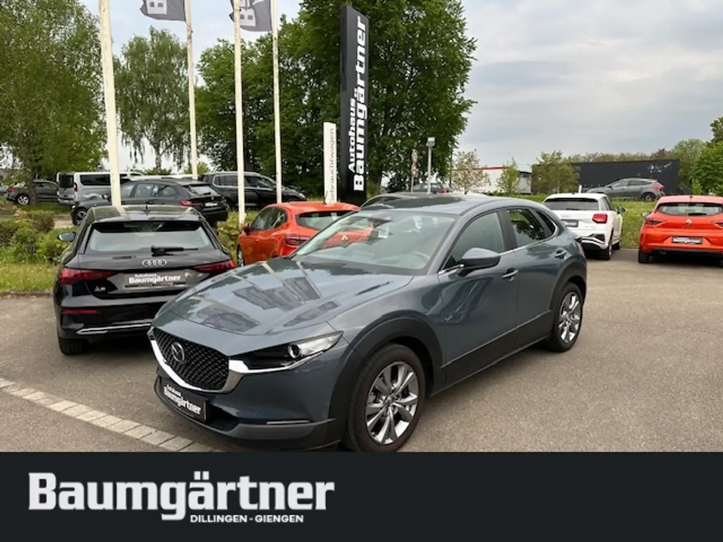 Mazda CX-30 e-Skyactiv-G 2.0 Automatik Kamera/ACC/PDC Grau - 1