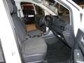 Volkswagen Caddy Caddy 2.0 TDI 102 CV Furgone Maxi + IVA Bianco - thumbnail 8
