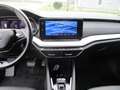 Skoda Octavia Premium DSG Grau - thumbnail 5