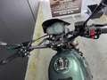 Benelli Leoncino 500 (A2) - thumbnail 4