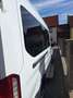 Ford Transit Transit 310 L3H2 Lkw VA Basis Weiß - thumbnail 5