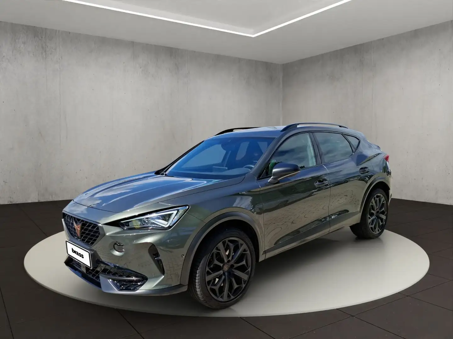 CUPRA Formentor 2.0 TSI VZ Tribe Edition Panorama Soun Grau - 1