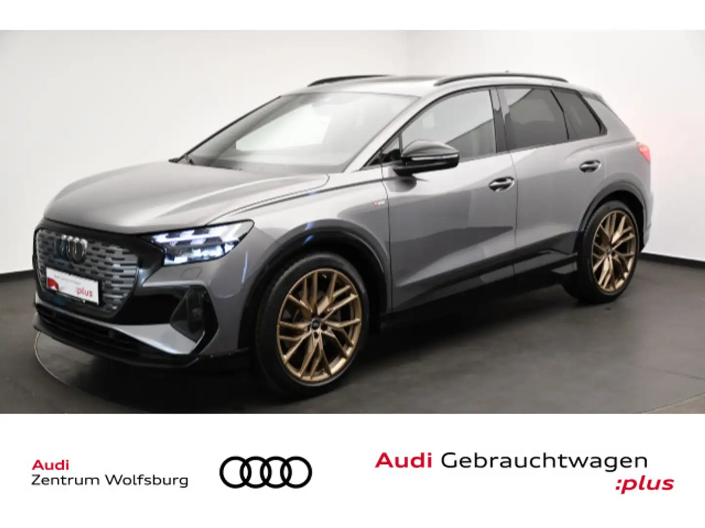Audi Q4 e-tron 50 quattro Pano/Rückkam/Sportsi Grau - 1