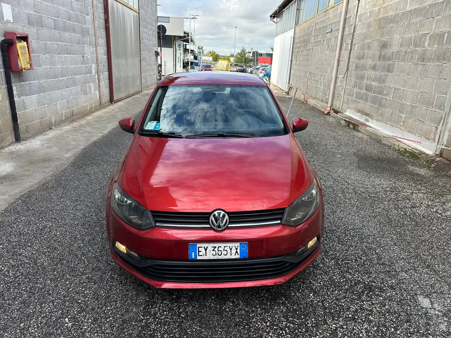 Volkswagen Polo Polo 1.4 TDI 5p. Trendline Rosso - 2