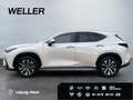 Lexus NX 350h Business Line *Bi-LED*360°*Leder*el Sitze* Blanc - thumbnail 5