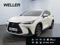 Lexus NX 350h Business Line *Bi-LED*360°*Leder*el Sitze* Blanc - thumbnail 1