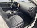 Lexus NX 350h Business Line *Bi-LED*360°*Leder*el Sitze* Blanc - thumbnail 18