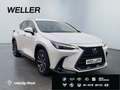 Lexus NX 350h Business Line *Bi-LED*360°*Leder*el Sitze* Blanc - thumbnail 4