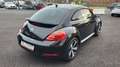 Volkswagen Beetle The Beetle 1.4 TSI 160cv 6V Exclusive Sport Black - thumbnail 3